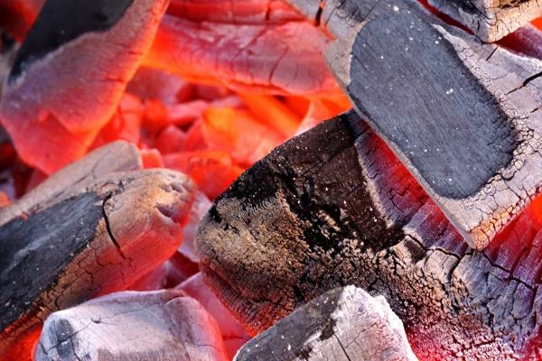 Which Country Imports the Most Wood Charcoal in the World?
